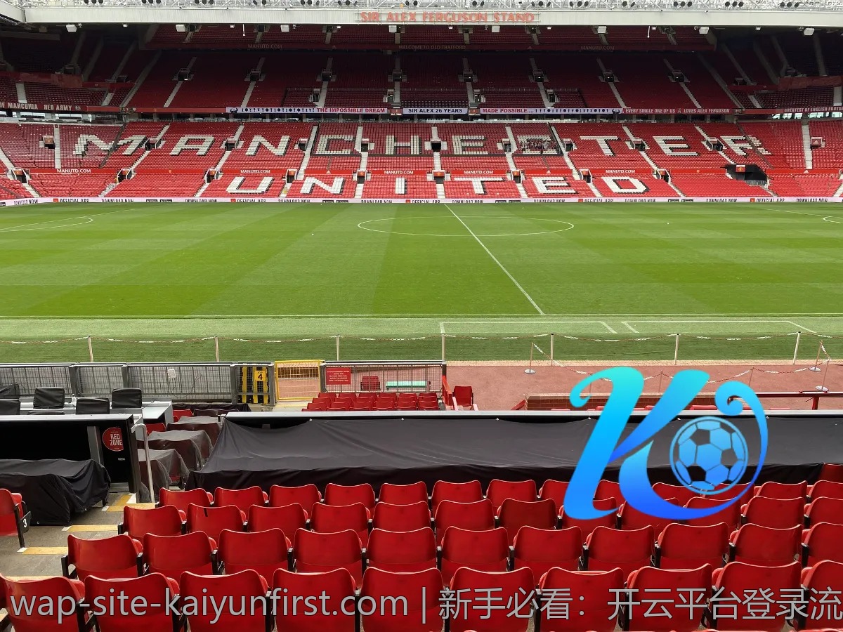 新手必看：开云平台登录流程全纪录
