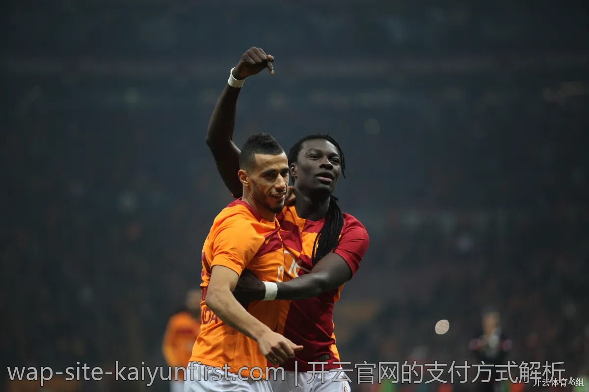 开云官网的支付方式解析，最安全的选择是什么？