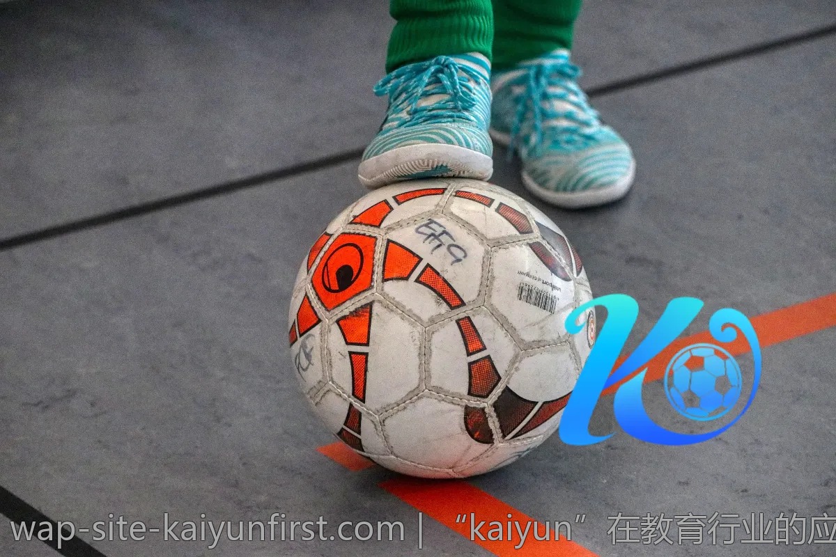 “kaiyun”在教育行业的应用实例